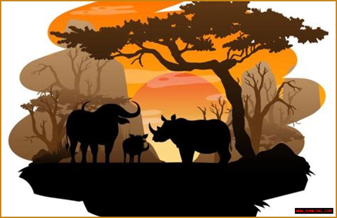 A Journey Of Wildlife And Conservation