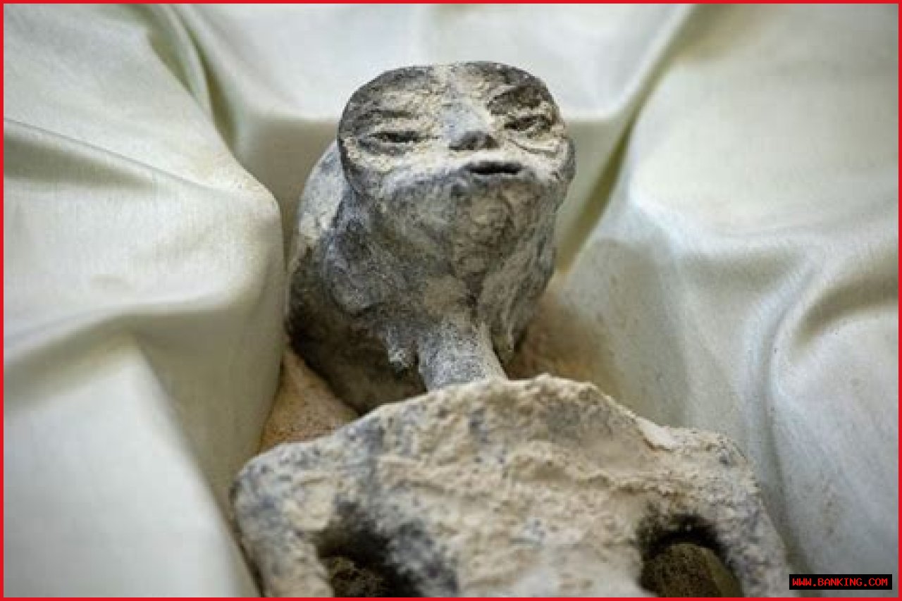 Alien Wonders Revealed On Twitter