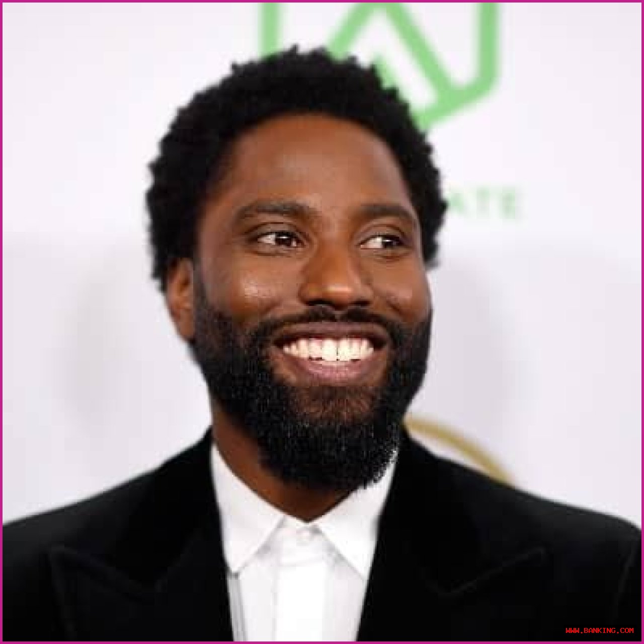 John David Washington's Biography And Age