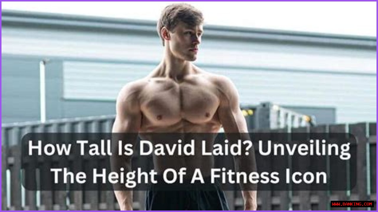 Unveiling The Secrets Of David Laid's Towering Height: A Comprehensive Guide